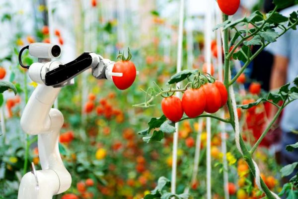 3 Ways Technology Is Changing the Food-Growing Industry – CT Post